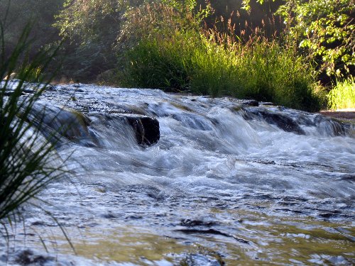 Hyssop Production still images