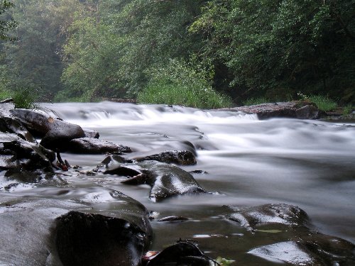 Hyssop Production still images
